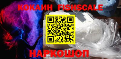 гашик Кингисепп