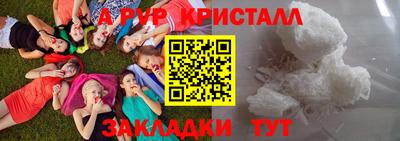 гашик Кингисепп