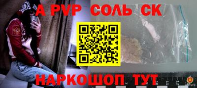 гашик Кингисепп