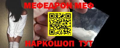 гашик Кингисепп