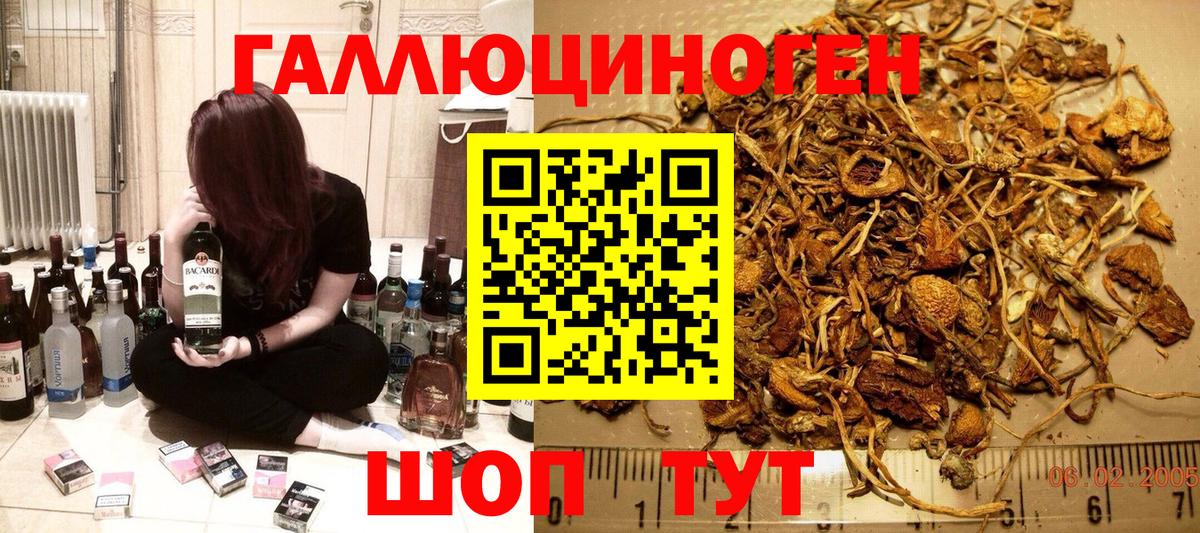 Псилоцибиновые грибы Cubensis Глазов