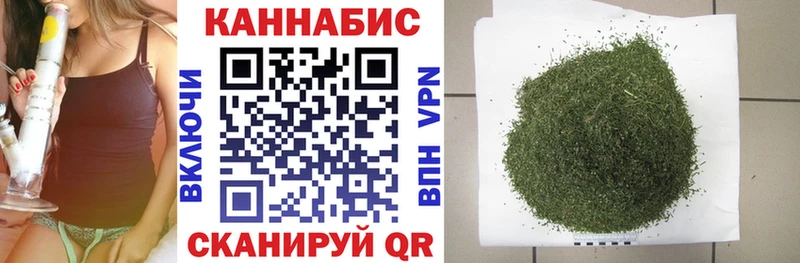 Конопля сатива Глазов